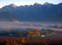 cape winelands, la route des vins